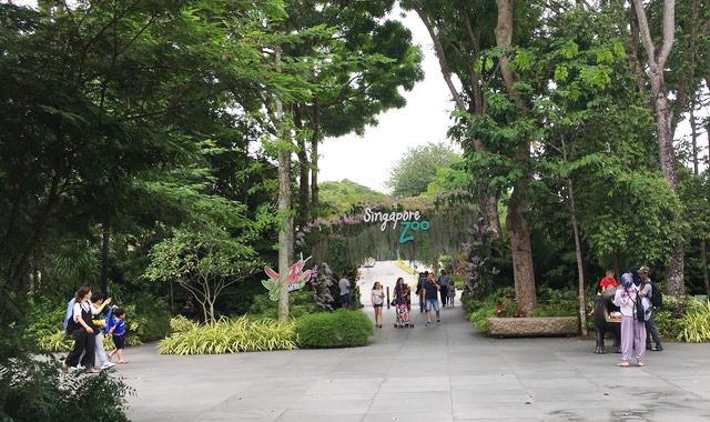 Singapore Zoo.jpg