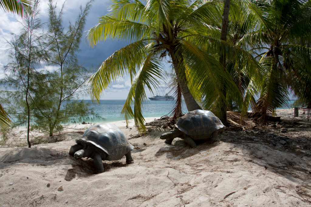 Aldabra Atoll, Seychelles.jpg